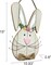 Easter Bunny Decorations for Front Door Decor, Cute Wooden Rabbit Sign Easter Wall Hanging Plaque Art, Hanger for Home Outdoor Porch Spring Indoor Garden